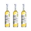 (3 Pack) - Belvoir - Organic Elderflower Cordial | 500ml | 3 Pack Bundle view 1