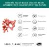 Calcium  Together Health  Seaweed-Based Calcium  72 Trace Minerals  Vegan Friendly  Made in The UK  Pack of 10  600 Vegecaps view 3