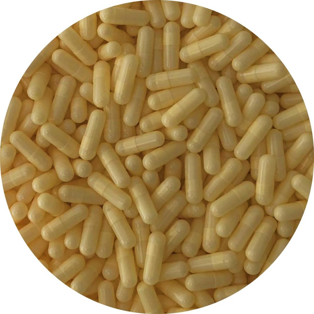 DR T & T 1000 Empty Gelatine gelatin ivory Yellow capsules capsule size 2 size2 eu product with certificate
