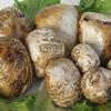 Chunks of Smoked Bufala 500 Gr. - Offer 3 Kg view 1