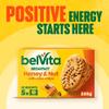 belVita Breakfast Honey & Nut with Choc Chips Biscuits, Wholegrain Cereals and Essential Minerals, 20 x 50g view 2