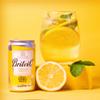 Britvic Indian Tonic Water, 24 x 150ml Can view 4