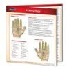 Reflexology Chart - Natural Health - Medical Quick Reference Guide by Permacharts view 1