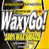 AMIX Waxy Go! - 2 kg Natural pure view 3