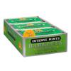 Barkleys Mints Wintergreen Tastefully Intense Mints Tins 50 g (Pack of 6) view 1