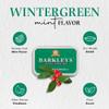 Barkleys Mints Wintergreen Tastefully Intense Mints Tins 50 g (Pack of 6) view 2