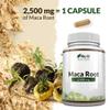 Nu U Nutrition - Maca Root Capsules 2500mg - 250mg of Maca Root per Capsule - 180 Vegan Capsules - 6 Month Supply - Maca Root Extract Supplement for Men & Women - Made in The UK view 4