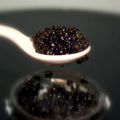 100g MALOSSOL STURGEON OSETRA OSIETRA CAVIAR IKRA IKURA QUALITY CAVIAR by SPOONFUL (BLACK TIN)