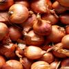 Medium Round Pickling Shallots 4kg (25-45mm) - Parrish Farms view 1