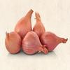 Medium Round Pickling Shallots 4kg (25-45mm) - Parrish Farms view 2