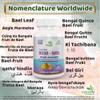 Ayushya Bilva (Bael Leaf) Capsule, Aegle marmelos, 60 Capsules, Natural view 3