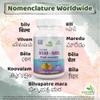 Ayushya Bilva (Bael Leaf) Capsule, Aegle marmelos, 60 Capsules, Natural view 4