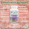 Ayushya Punarnava Capsule (Boerhavia Diffusa), 60 Capsules, Natural view 3