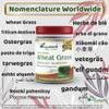 Wheat Grass Powder view 3