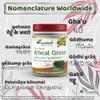 Wheat Grass Powder view 4