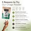 Chaga Mushroom Powder Supplement 100g | Pure Fruiting Body 10:1 High Strength Extract | 10% Beta-D Glucans | 10,000mg Raw Equivalent Per Serving | No Fillers | Antioxidants, Immunity & Cell Support view 2