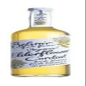 (Pack of 10) Organic Elderflower Cordial | BELVOIR FRUIT FARMS