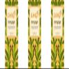 (3 PACK) - Pukka Herbs - Triple Ginger Tea | 20 sachet | 3 PACK BUNDLE by PUKKA HERBAL AYURVEDA view 1