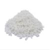 JALPUR MILLERS Sago Seeds Small (Sabudana) 1.5kg  Nutrient-Rich, Premium Tapioca Pearls  for Traditional Cooking, Fasting Recipes & Snacks  Easy-to-Cook for Healthy, Energy-Boosting Meals view 2