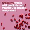 Cystex Urinary Health Maintenance Cranberry 7.6 oz view 3