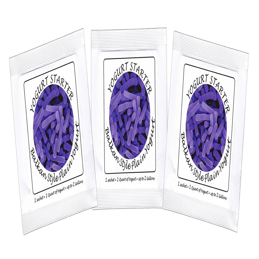 Yogurt Starter Cultures - Pack of 3 Freeze-dried Sachets for Balkan Style Plain Yogurt