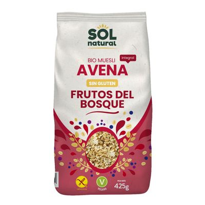 Natural Sun Gluten Free Forest Fruit Oats, 425g