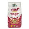 Natural Sun Gluten Free Forest Fruit Oats, 425g view 1