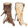 Health Embassy Angelica Root | Angelica archangelica L | 50g view 4