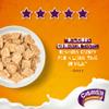 Nestle Curiously Cinnamon Cereal, 375g view 4