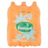 Gaudianello Acqua Minerale Effervescente - 6 Bottiglie da 1.5 Litri view 3
