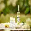 Belvoir Farm - Elderflower Cordial, Great Taste Award Winner, Natural Hand-Picked Elderflowers, Simple Ingredients, Traditional Family Recipe, Suitable for Vegetarians & Vegans 6x500ml Bottles view 2