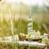 Belvoir Farm - Elderflower Cordial, Great Taste Award Winner, Natural Hand-Picked Elderflowers, Simple Ingredients, Traditional Family Recipe, Suitable for Vegetarians & Vegans 6x500ml Bottles view 3