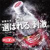 Asahi Soft Drinks Wilkinson Tencin 500mlX24 This view 3