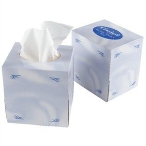 Boutique Soft Facial Tissues Cubed White 2 ply 70 sheet Box 24
