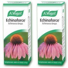 (2 Pack) - A Vogel - Echinaforce Drops | 50ml | 2 Pack Bundle by A Vogel