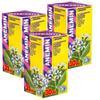 Anemin PhytoConcentrate (Pack of 3) 21 Day Course - Natural Plant Extracts - Hemoglobin - Iron Deficiency - Vitamin B12 Folic Acid Deficiency - Anemia view 1