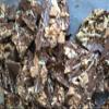 Belgian Chocolate Bark 100g (Milk Mixed Fruit and nut) view 1
