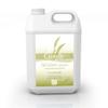 Camylle - Strylane Steambath - Spa Equipments Disinfection - - 5000ml view 1