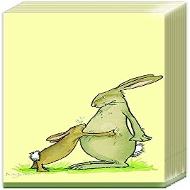 IHR Ideal Home Range - Pocket Tissues You are The Best Guess How Much I Love You Hare 1 Packet of 10 Individual 4-Ply Pocket Tissues 21 cm x 21 cm / 8 inch x 8 inch