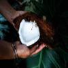 Coconut Oil - Raw Extra Virgin | Single-Origin Philippines Cold-Pressed Unrefined, MCT-Rich for Skin, Hair & Energy - Ancient Purity1kg (35.27 oz.) view 4