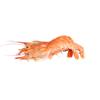 Wild Argentinian Prawns, Frozen Raw, 1kg view 1
