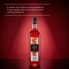 1883 Maison Routin Premium Blood Orange Syrup Citrus Flavoured Syrup for Cocktails, Sodas, Spritzes & Desserts, Vegan-Friendly, 1L Glass Bottle view 2
