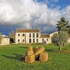 6 Glass Bottle x 500ml - Finca la torre - Organic Olive Oil Hojiblanca view 3