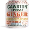 Sparkling Ginger Beer - 330ml view 1