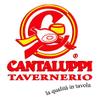 CANTALUPPI - Boneless Ham Langhirano (9 kg. Approx) - Italian artisan product view 2