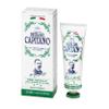 Pasta del Capitano 1905 Natural Herbs Toothpaste, 25 ml view 1