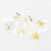 Earlywish 6pcs Molar Shaped Tooth Earrings Dentist Dental Clinic Great Gift! view 3