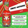Arizona Watermelon 500 ml Pack of 6 view 4