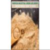 MACA in POLVO Organic 200GR INKANAT view 2