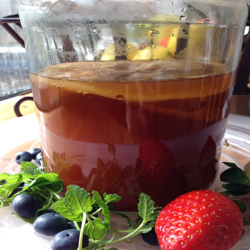 1x Organic Kombucha Scoby - Live Cultures by Georgia's Finest
